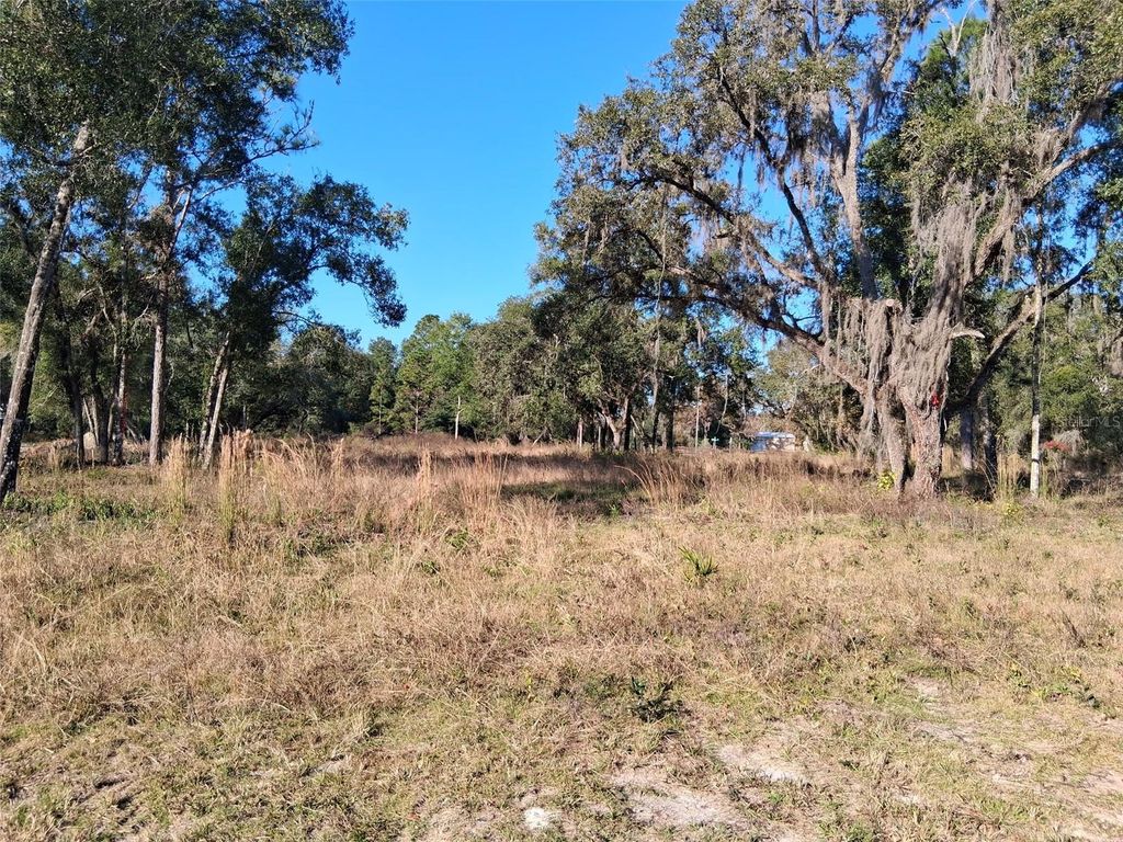 Photo of 0 Long Circle, Webster, FL 33597 (MLS # W7880916)