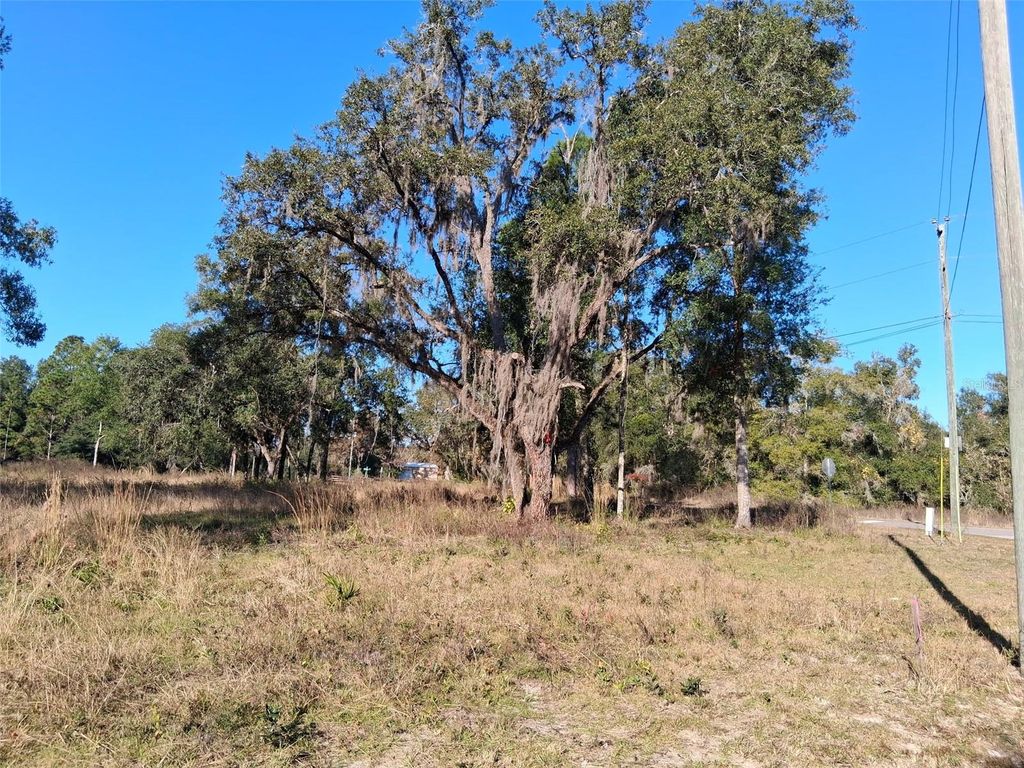 Photo of 0 Long Circle, Webster, FL 33597 (MLS # W7880916)