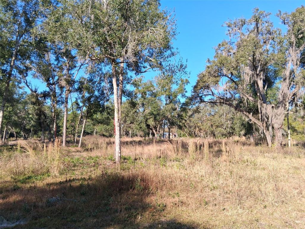 Photo of 0 Long Circle, Webster, FL 33597 (MLS # W7880916)