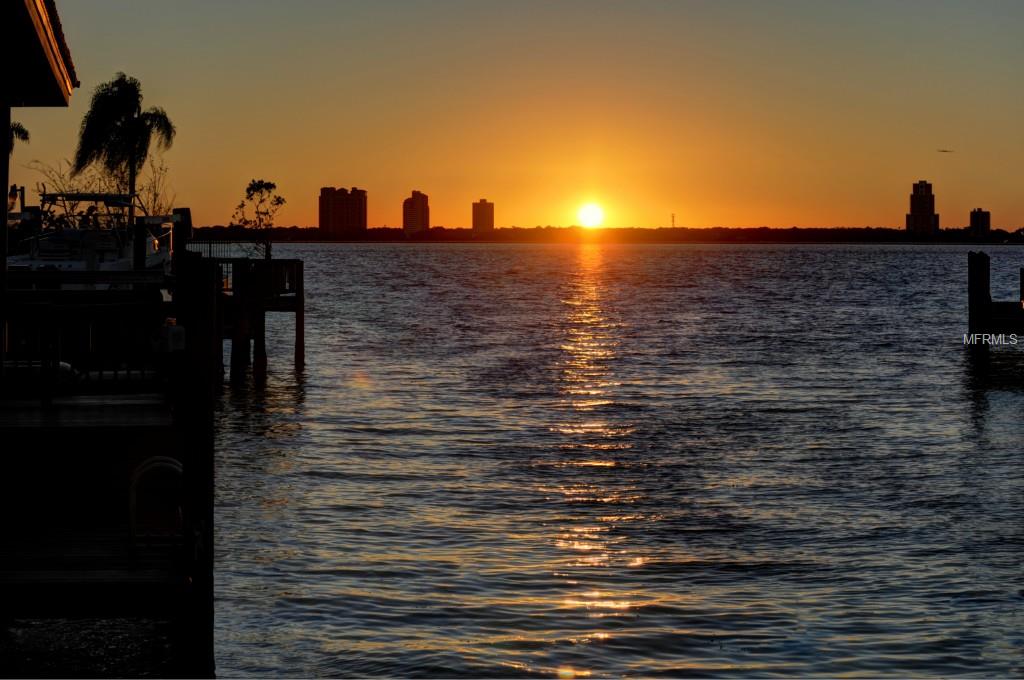 DAVIS ISLANDS REP - Residential