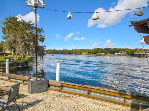 Tiny photo for 24545 Snail Road, Astor, FL 32102 (MLS # OM720532)