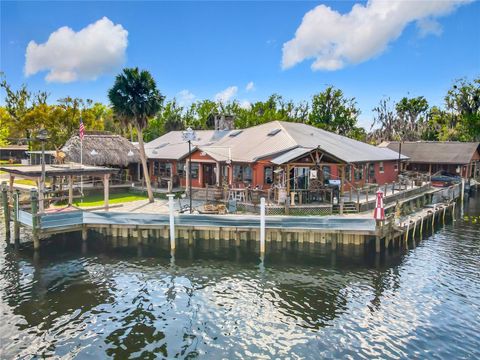 Photo of 24545 Snail Road, Astor, FL 32102 (MLS # OM720532)