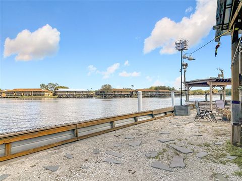 Tiny photo for 24545 Snail Road, Astor, FL 32102 (MLS # OM720532)