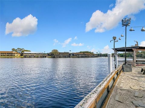 Tiny photo for 24545 Snail Road, Astor, FL 32102 (MLS # OM720532)