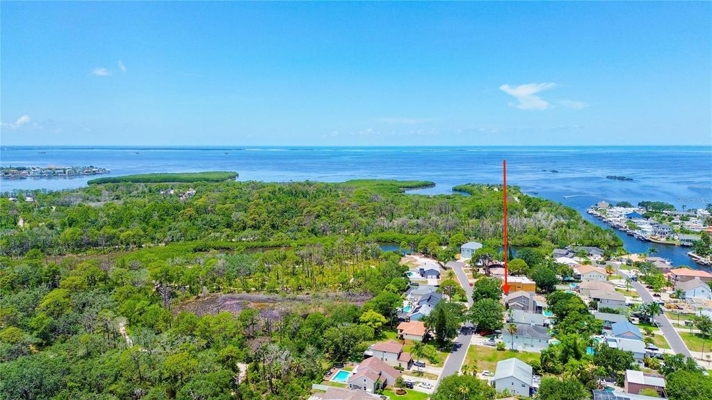 Photo of 14 Baywood Drive, Palm Harbor, FL 34683 (MLS # TB8529883)