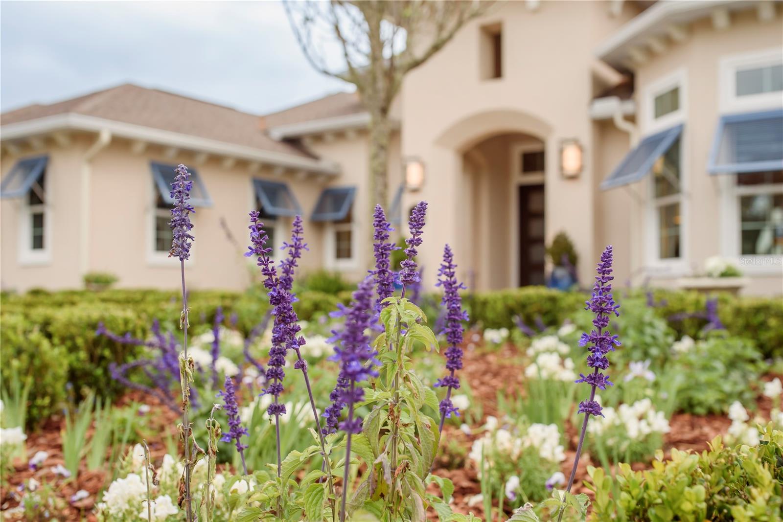 SAVANNA POINTE PH 2 - Residential