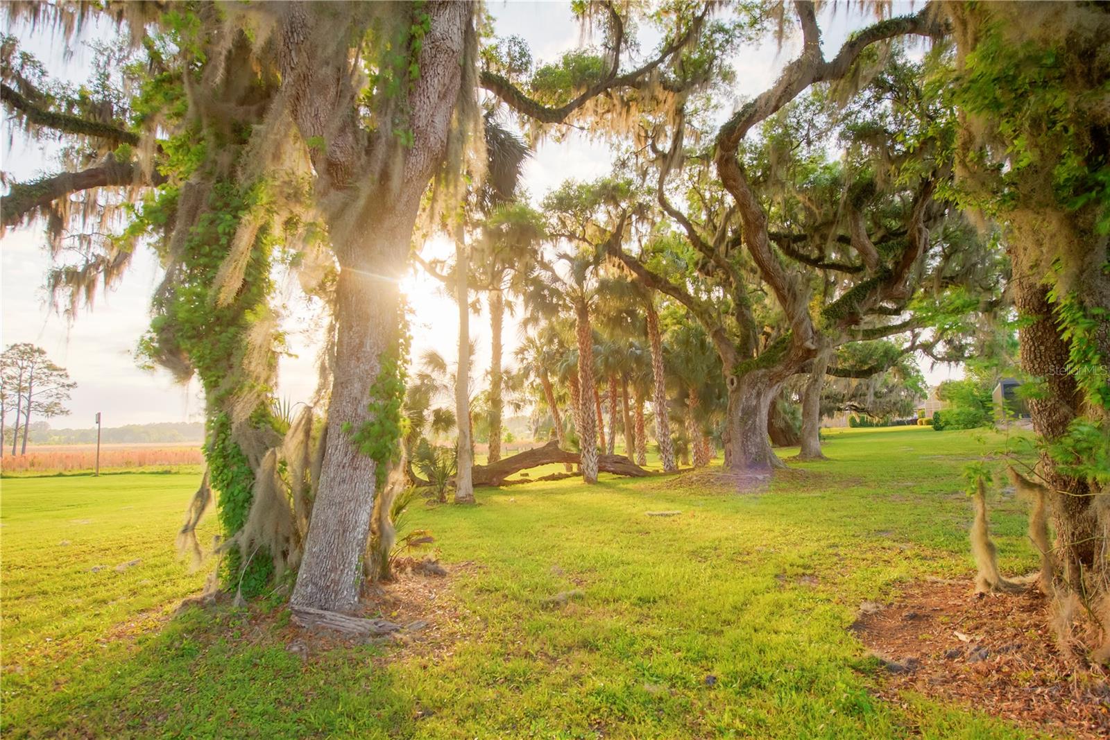 SAVANNA POINTE PH 2 - Residential