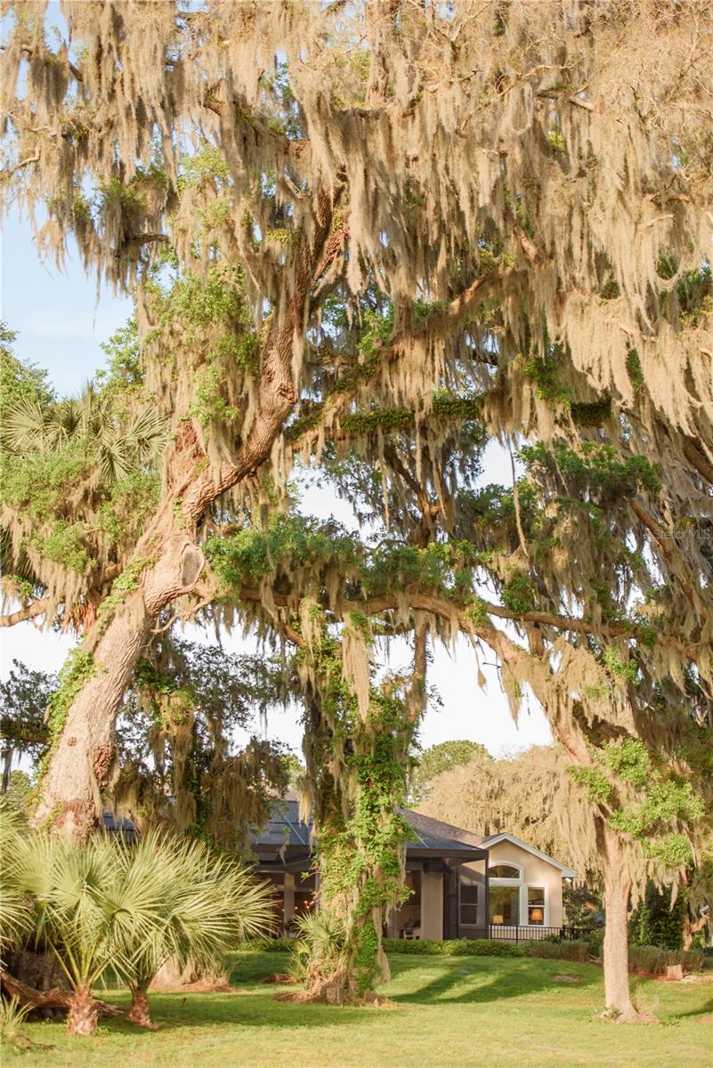 SAVANNA POINTE PH 2 - Residential