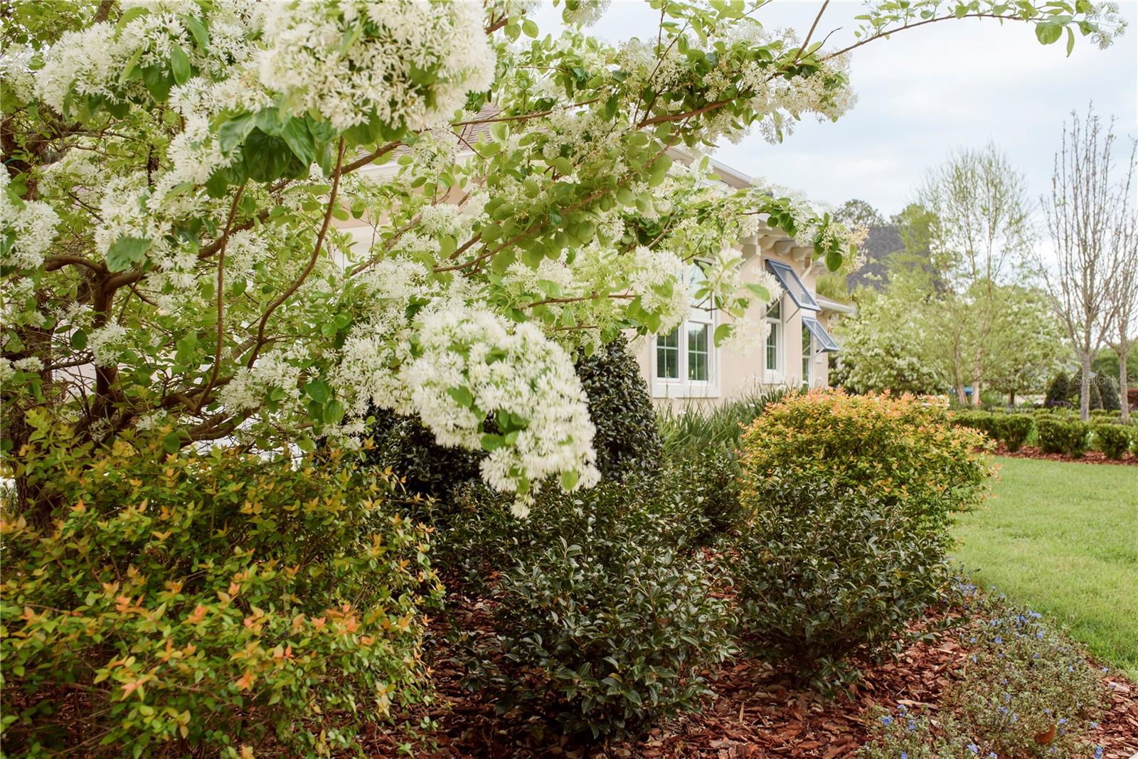 SAVANNA POINTE PH 2 - Residential