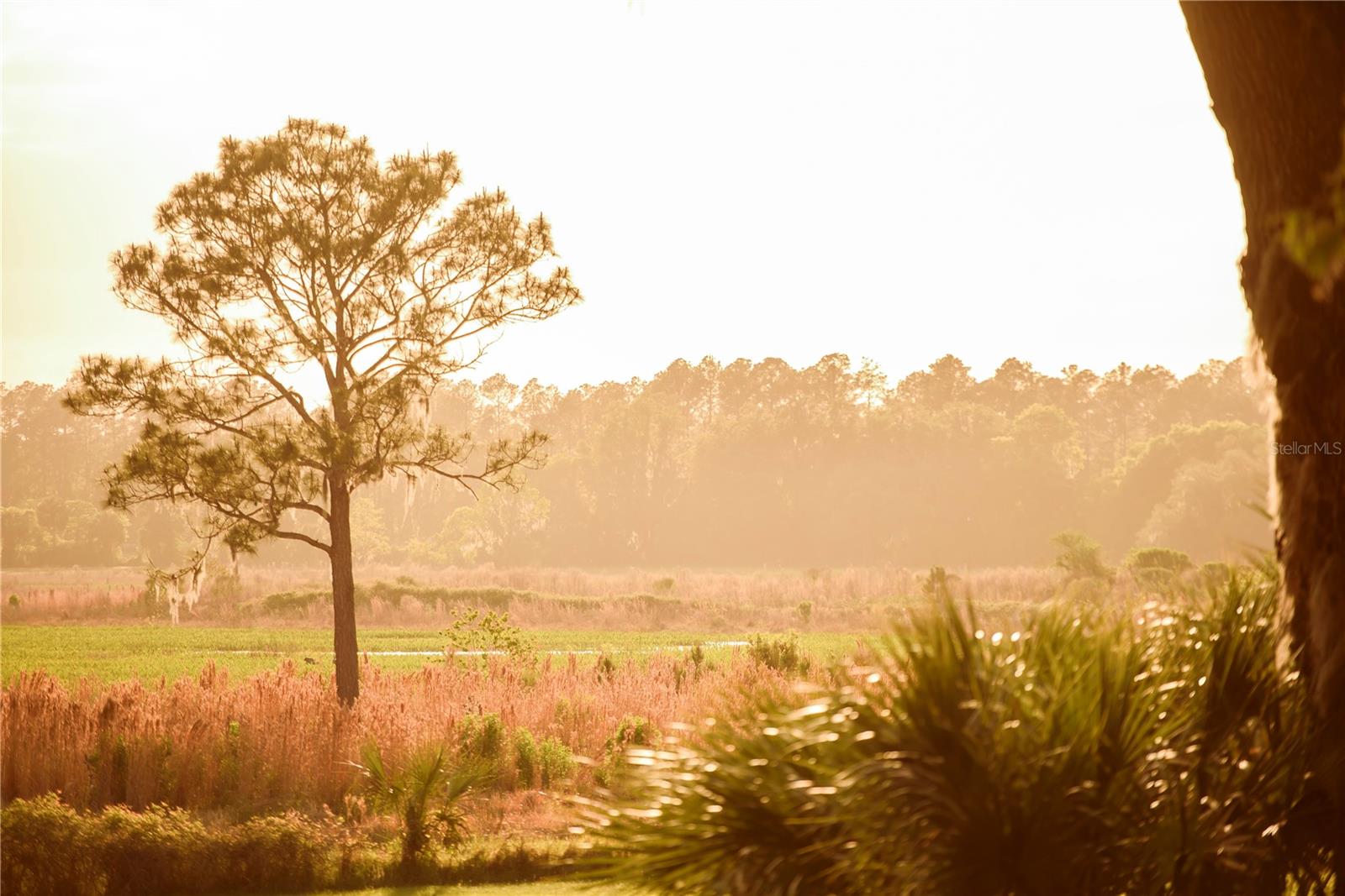 SAVANNA POINTE PH 2 - Residential