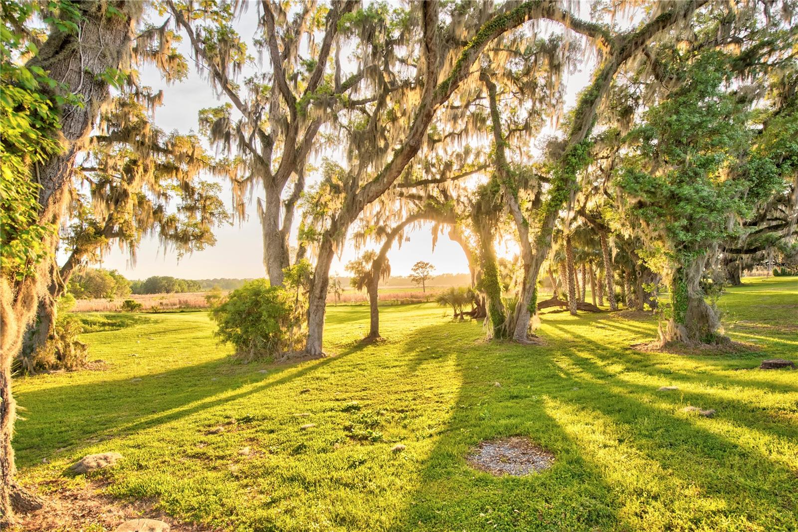 SAVANNA POINTE PH 2 - Residential