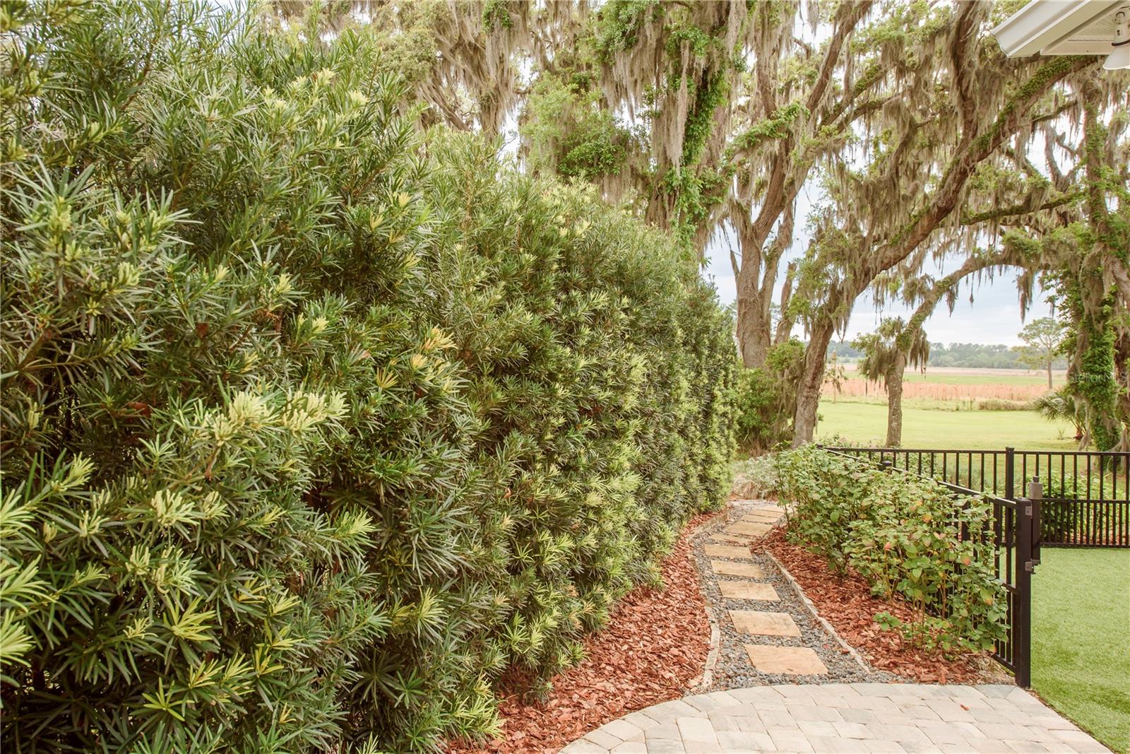 SAVANNA POINTE PH 2 - Residential