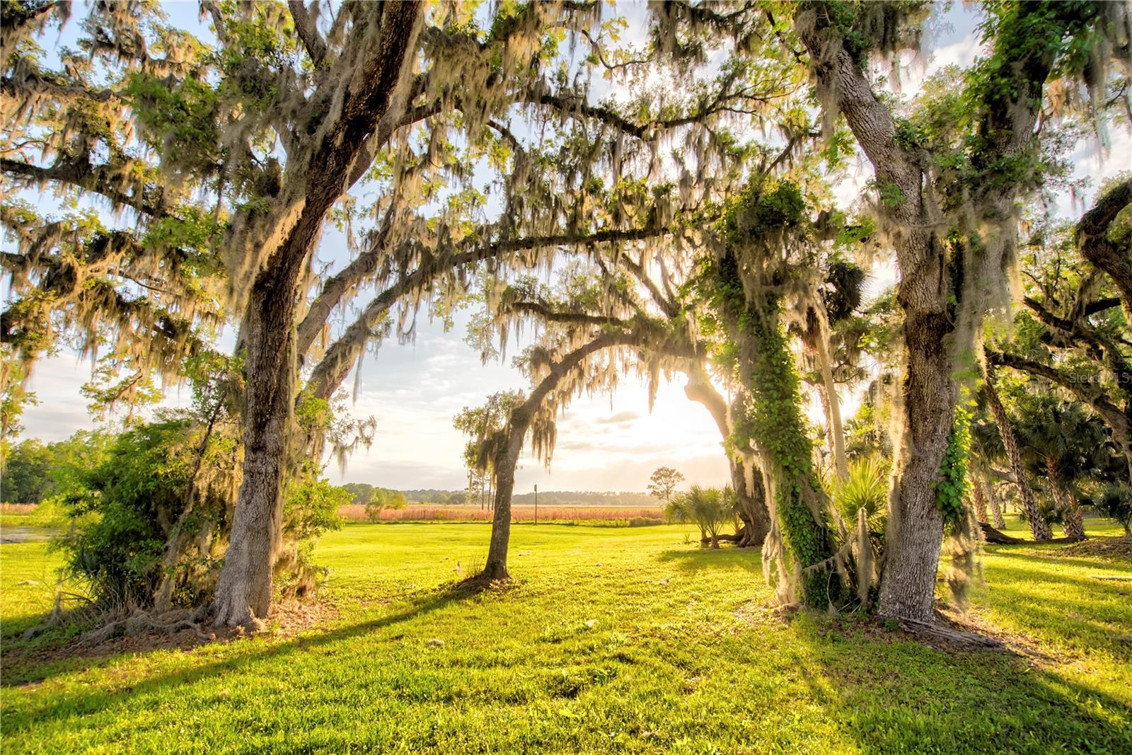 SAVANNA POINTE PH 2 - Residential