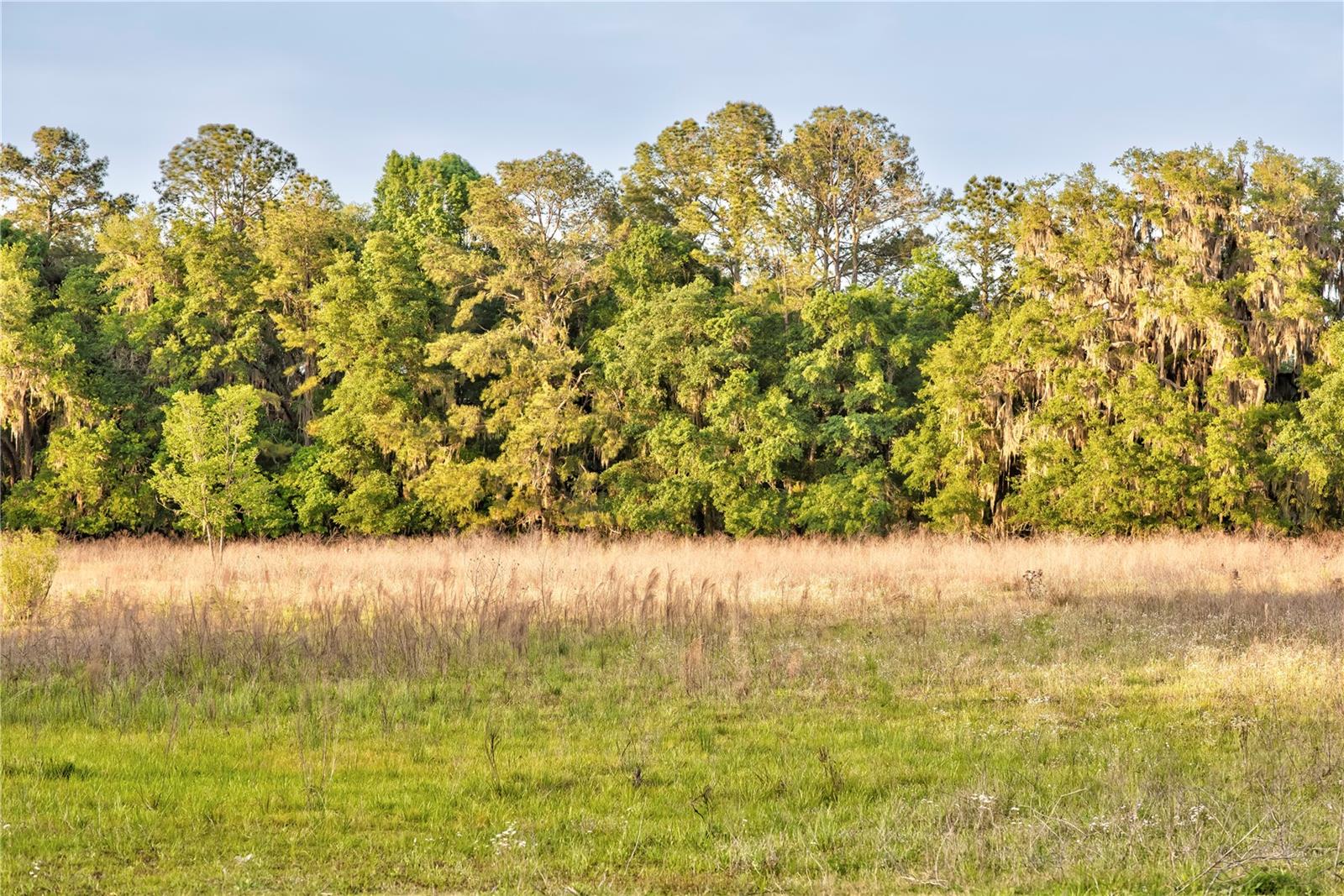 SAVANNA POINTE PH 2 - Residential