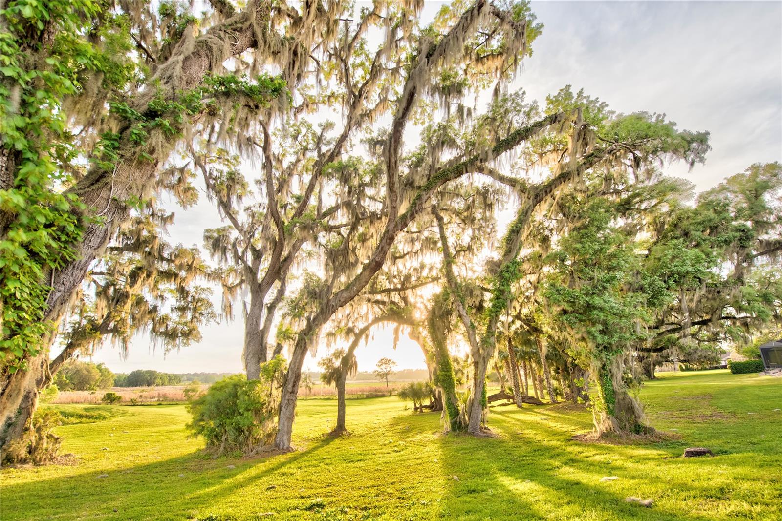 SAVANNA POINTE PH 2 - Residential