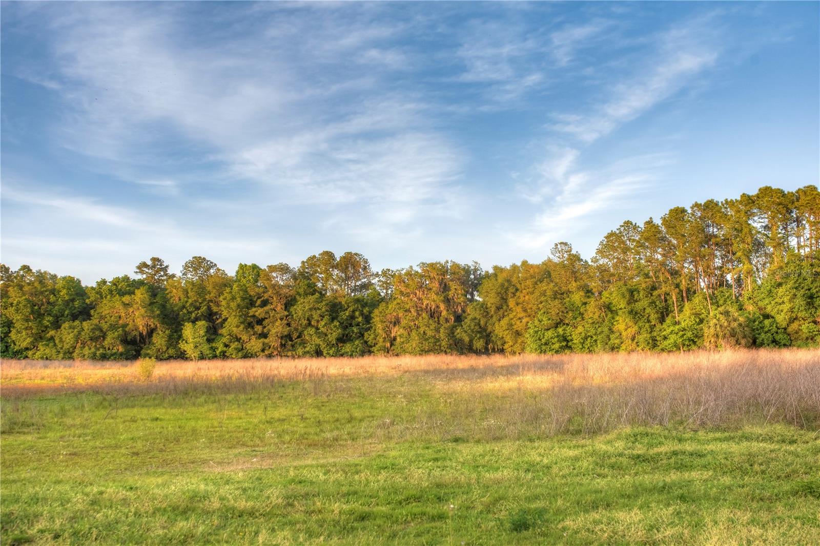 SAVANNA POINTE PH 2 - Residential