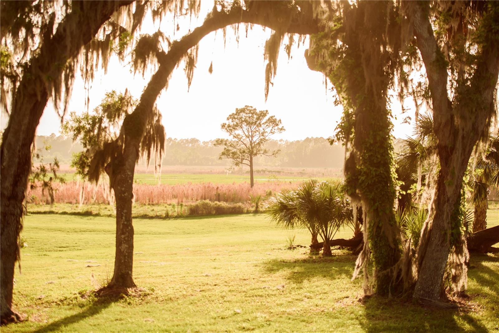 SAVANNA POINTE PH 2 - Residential