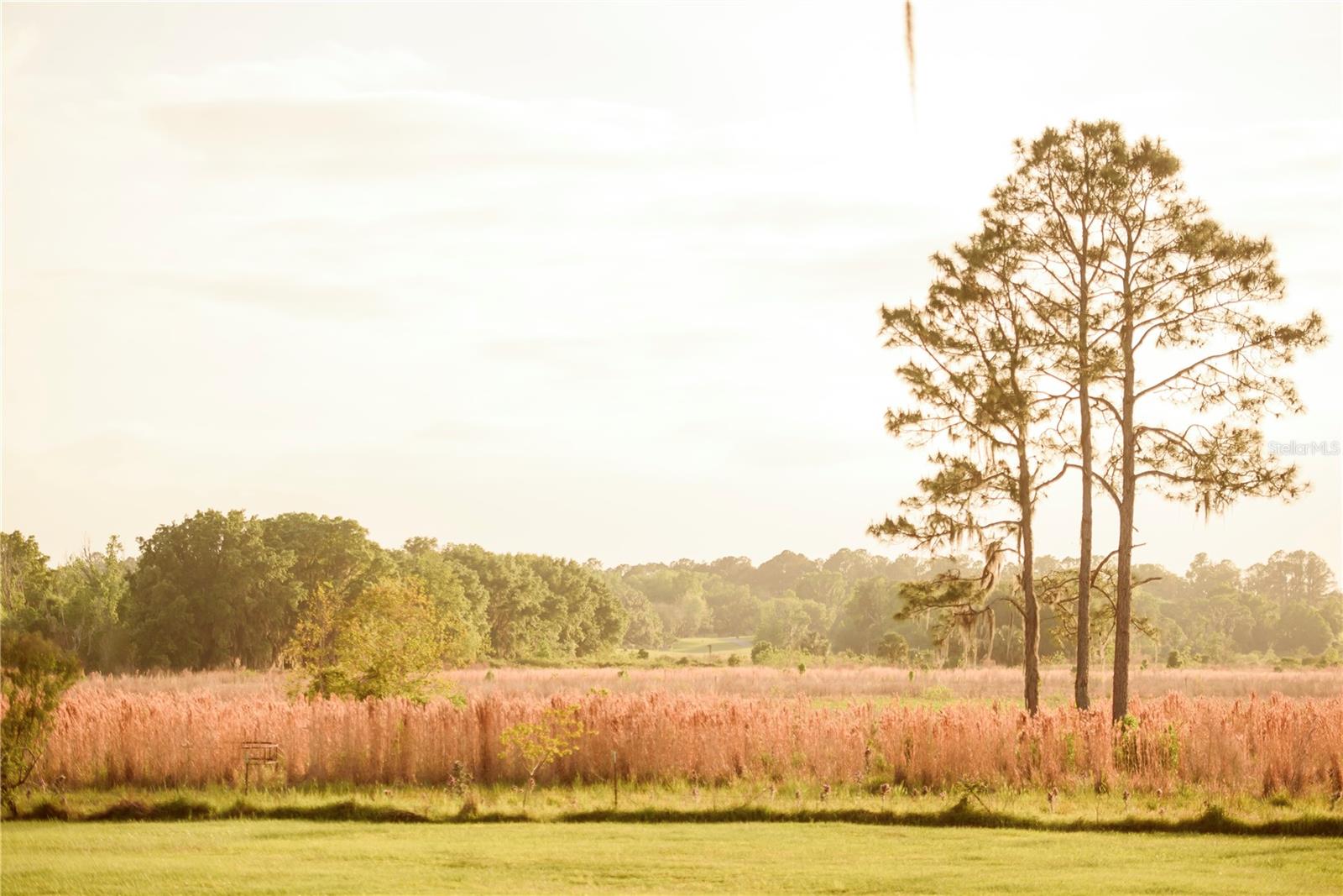 SAVANNA POINTE PH 2 - Residential