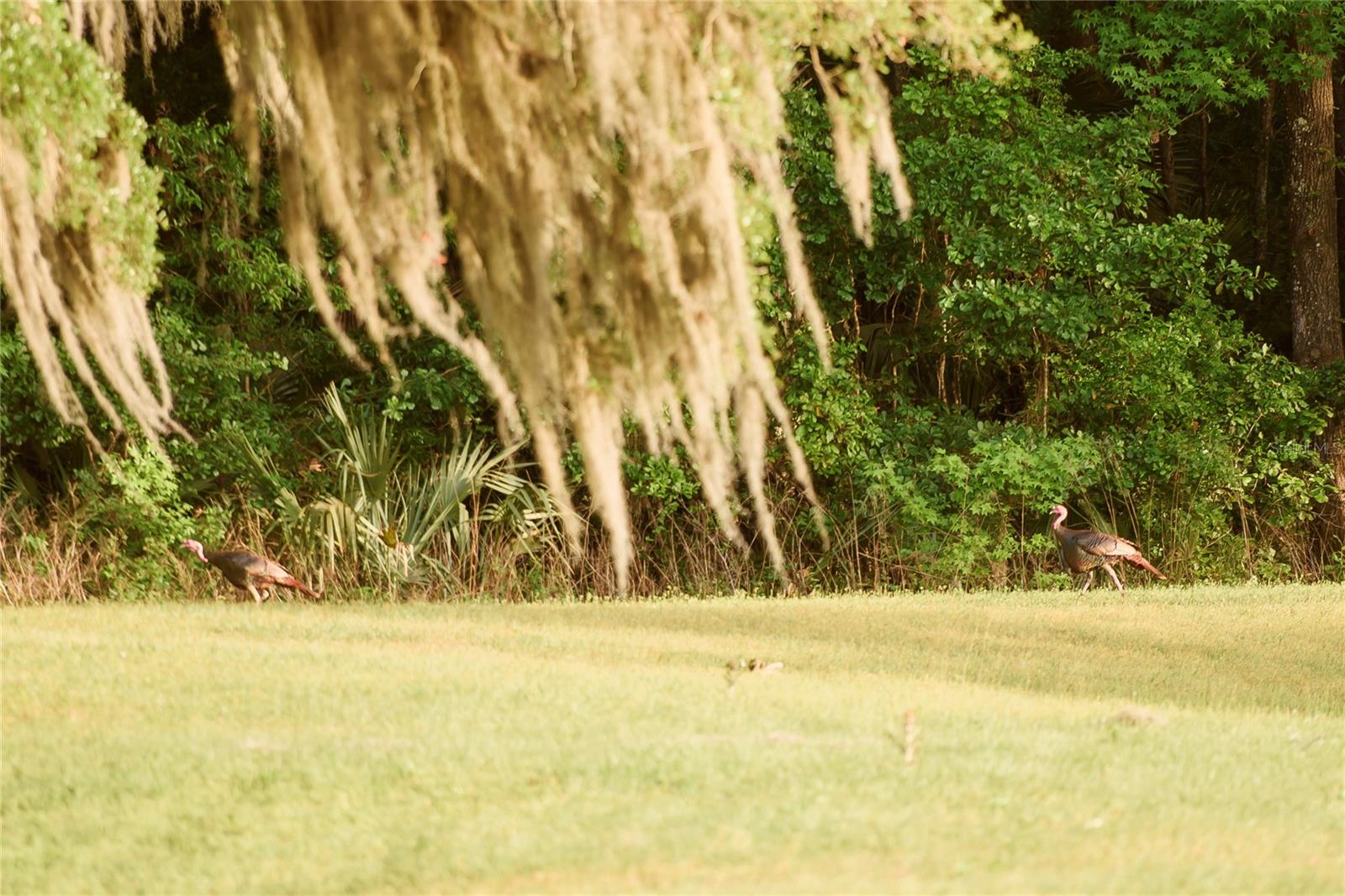 SAVANNA POINTE PH 2 - Residential