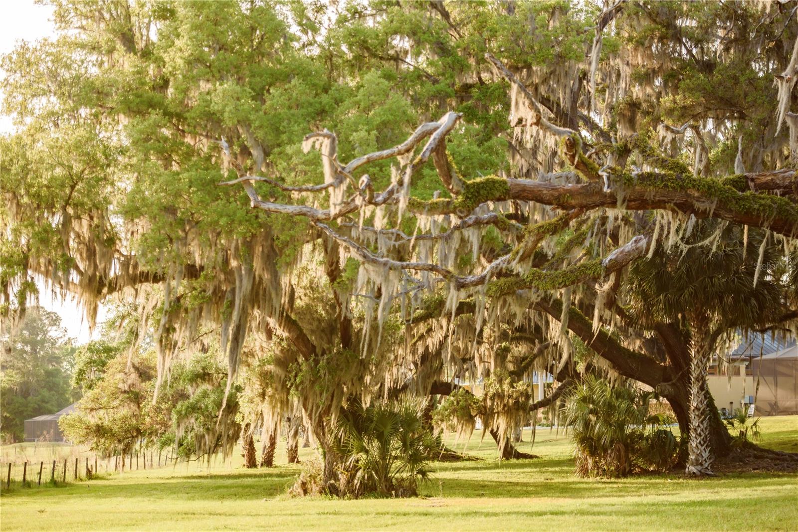 SAVANNA POINTE PH 2 - Residential