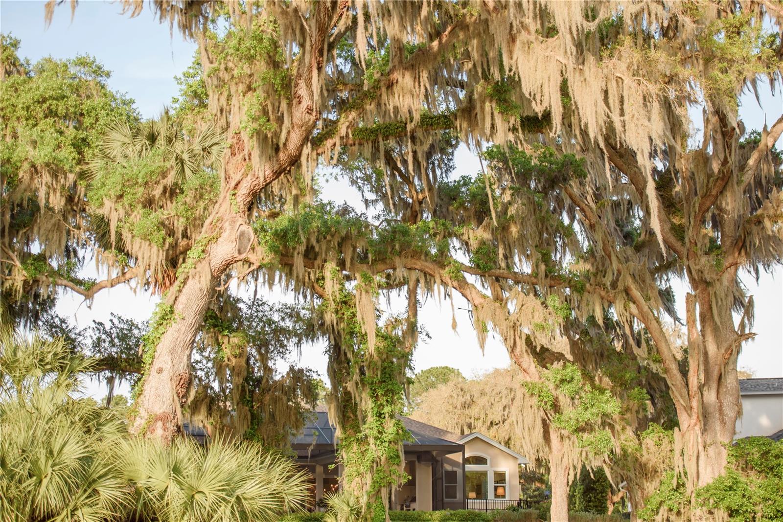 SAVANNA POINTE PH 2 - Residential