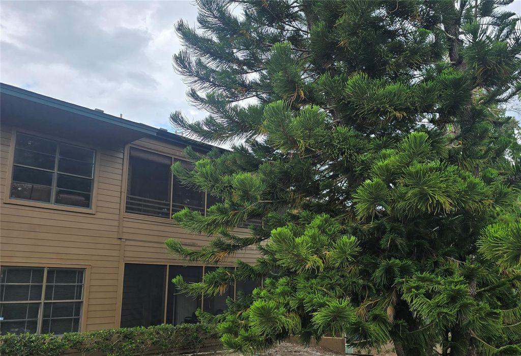 Photo of 406 Lennox Road W, Palm Harbor, FL 34683 (MLS # TB8501228)