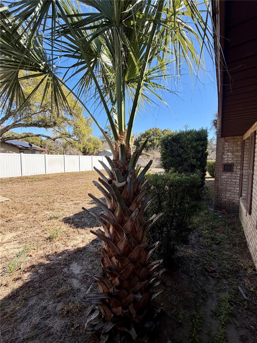 COUNTRY CLUB VIEW SUB - Residential