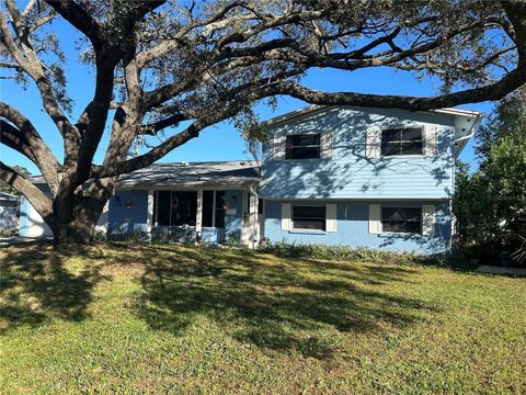 A home in TAMPA