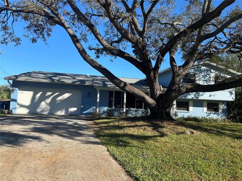 A home in TAMPA