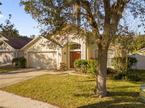 A home in ORLANDO