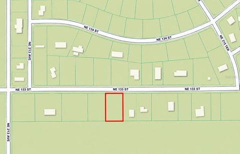 Tiny photo for Tbd NE 133rd Street, Salt Springs, FL 32134 (MLS # OM734642)