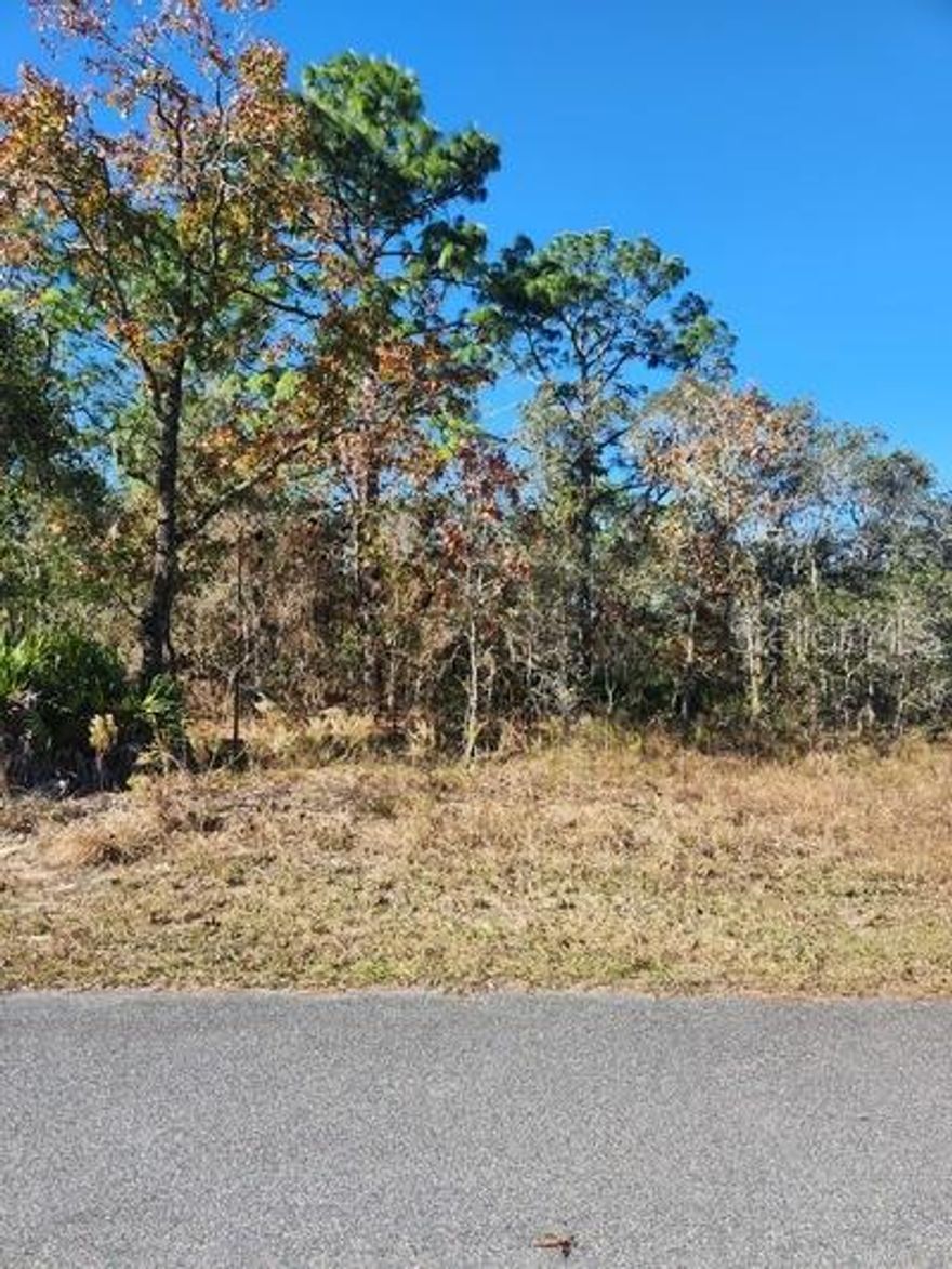 This property with easy access to the US-19 and the Suncoast Parkway provides an opportunity and blank canvas to develop your new home! Within 2 miles to local amenities.  The property is a 0.46 acre parcel with 100x200 dimensions.  This lot offers the opportunity to build your own home, and still have some space for your style of entertainment, whether this be storing your RV or boat or having a larger yard for those evenings of entertainment.  The property will need a Septic and Well.  No HOA. Property is on Cul-De-Sac Street.