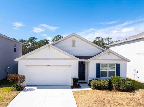 Photo of 2759 Lotus Flower Trail, Wesley Chapel, FL 33543 (MLS # TB8477297)