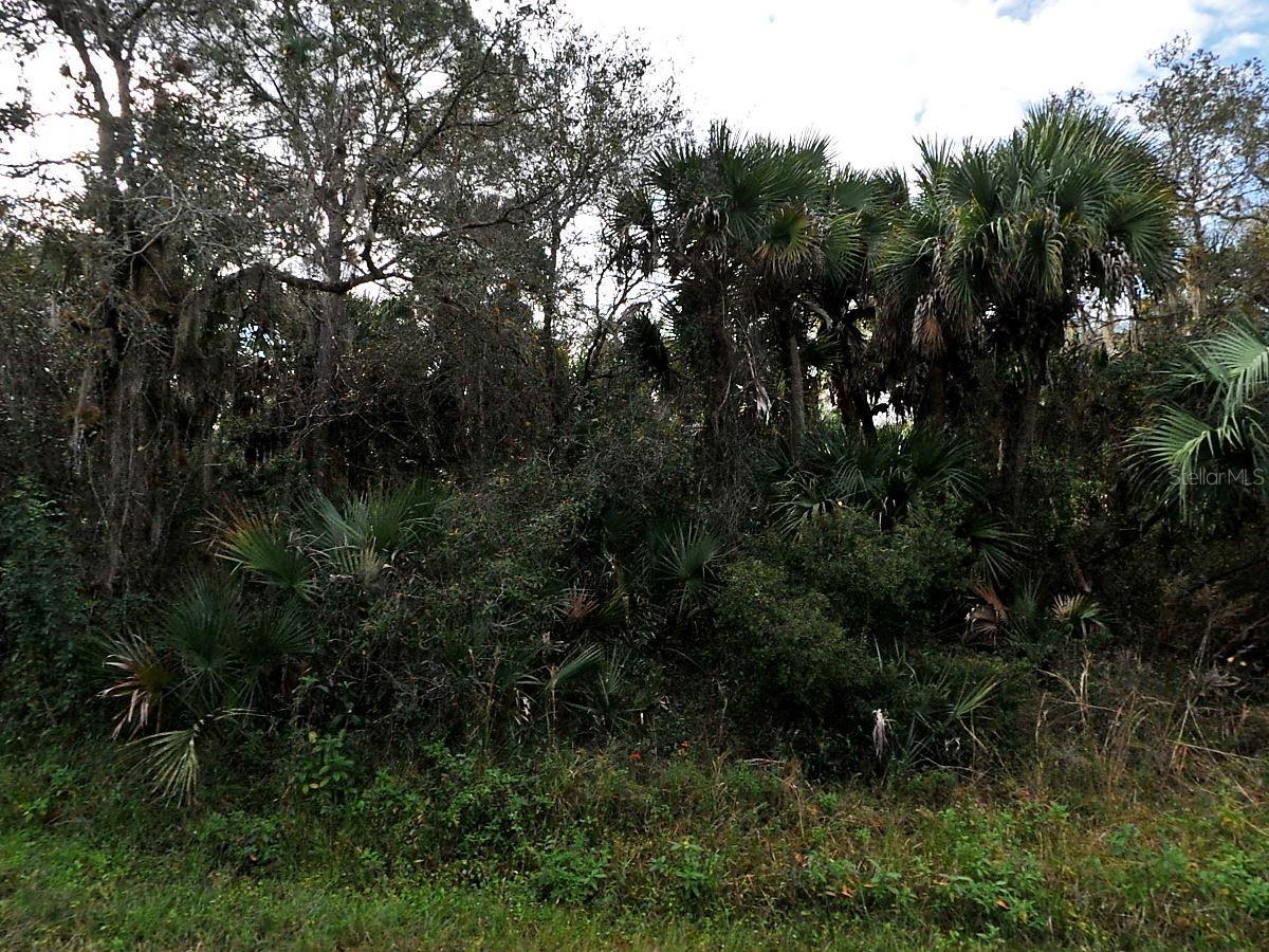 Tucked away in a peaceful, no-thru-traffic neighborhood and surrounded by newer homes, this oversized vacant lot is a rare gem in one of the fastest-growing areas in the region. With quick access to I-75, commuting to Sarasota or Fort Myers is a breeze—giving you the freedom to enjoy a quiet home base without sacrificing city convenience.
Nature lovers and outdoor adventurers will be right at home here. Explore scenic nature trails that wind through preserved green spaces, spend your weekends fishing and boating in nearby waterways, or soak up the sun on beautiful Gulf Coast beaches. Golf courses and recreational areas add to the area's appeal, offering something for everyone in your family.
This property stands out not just for its location, but for the lifestyle it offers. Oversized and level, it’s the perfect canvas to design a custom home tailored to your needs. Add a large lanai, a private pool, or even a detached workshop—the space and freedom are yours. And with no HOA fees or restrictions, you can build with confidence and creativity.
The neighborhood's quiet charm, paired with its strategic proximity to key destinations, makes this lot a smart choice for homeowners and investors alike. As the community continues to grow, so does the value of this unique property. Whether you're planning to build now or secure land for the future, this is a chance to invest in both your comfort and your capital.
Act now—opportunities like this are increasingly rare. Create your coastal retreat in a place where growth, nature, and peace come together beautifully.