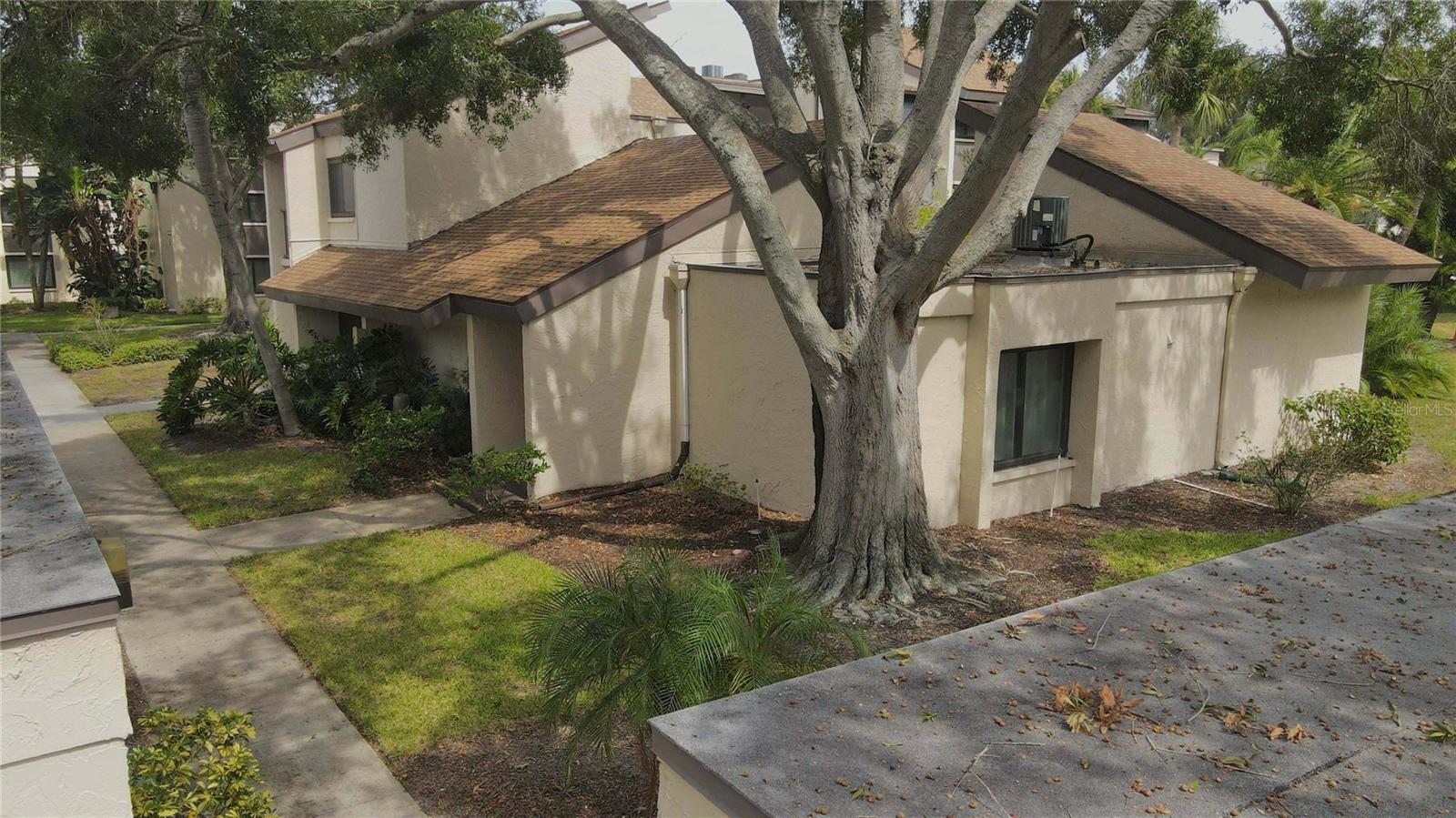 View CLEARWATER, FL 33764 condo