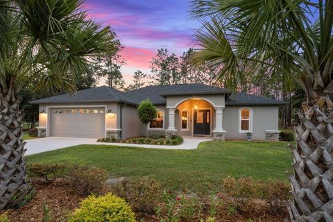 Photo of 12929 SW 89th Street, Dunnellon, FL 34432 (MLS # TB8521979)