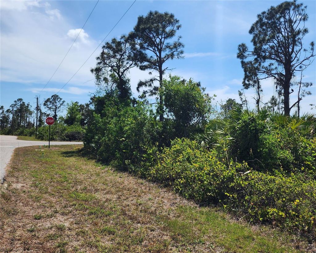 Photo of 12282 Appleberg Circle, Port Charlotte, FL 33981 (MLS # C7473668)