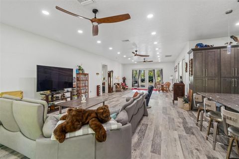 Tiny photo for 4300 Cr 673, Bushnell, FL 33513 (MLS # TB8491648)