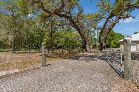 Tiny photo for 4300 Cr 673, Bushnell, FL 33513 (MLS # TB8491648)