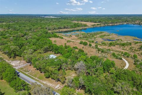 Tiny photo for 4300 Cr 673, Bushnell, FL 33513 (MLS # TB8491648)