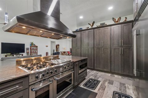 Tiny photo for 4300 Cr 673, Bushnell, FL 33513 (MLS # TB8491648)