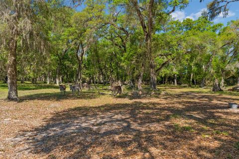Tiny photo for 4300 Cr 673, Bushnell, FL 33513 (MLS # TB8491648)