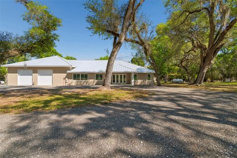 Tiny photo for 4300 Cr 673, Bushnell, FL 33513 (MLS # TB8491648)