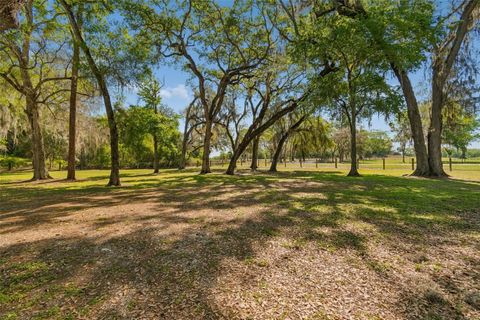 Tiny photo for 4300 Cr 673, Bushnell, FL 33513 (MLS # TB8491648)