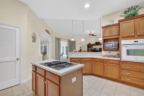 Tiny photo for 3054 New Haven Place, Mount Dora, FL 32757 (MLS # O6373374)