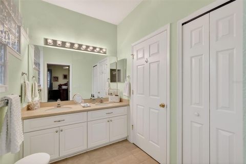 Tiny photo for 3054 New Haven Place, Mount Dora, FL 32757 (MLS # O6373374)