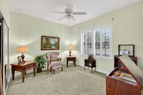Tiny photo for 3054 New Haven Place, Mount Dora, FL 32757 (MLS # O6373374)