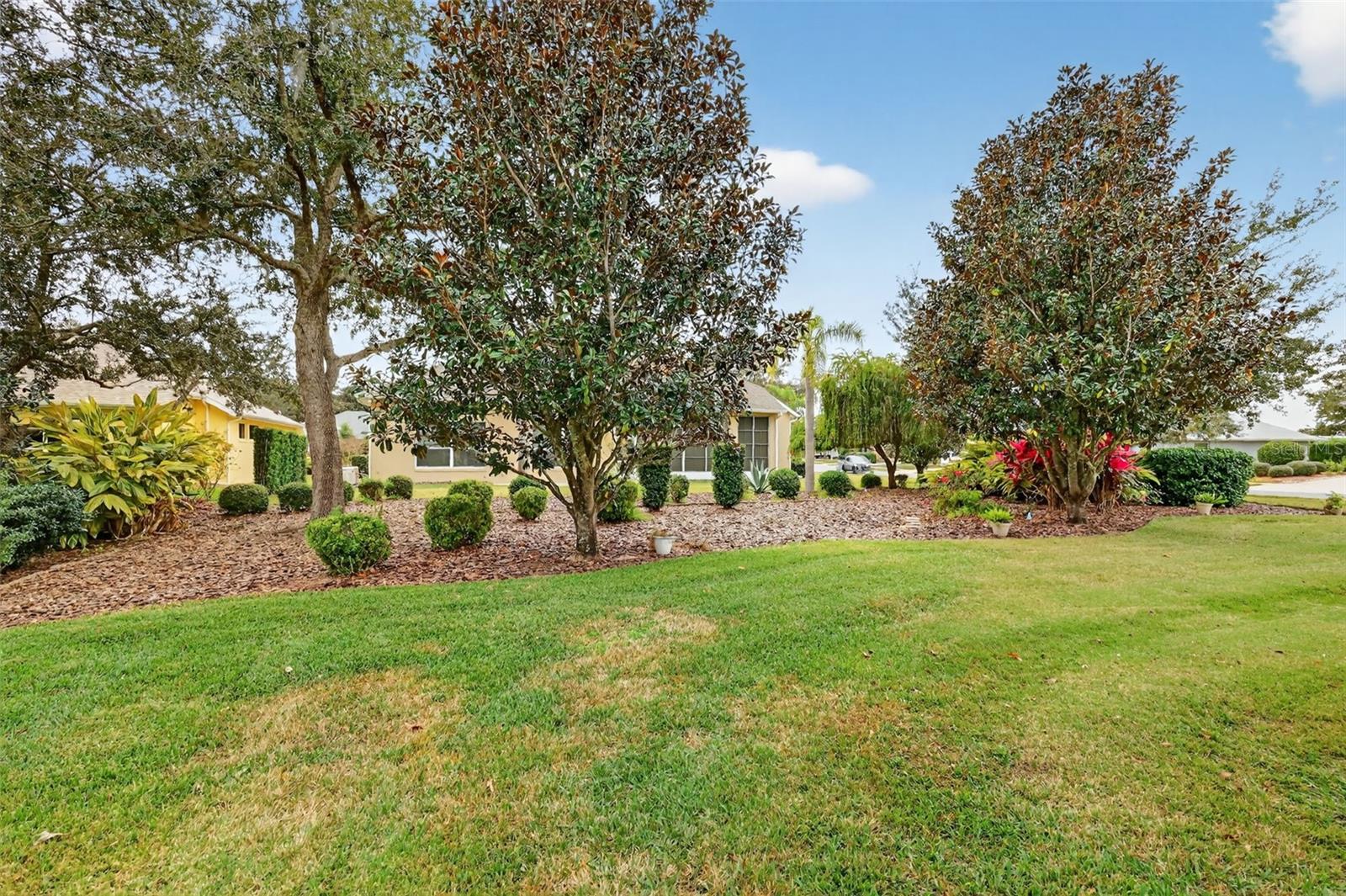 MOUNT DORA LAKES MOUNT DORA PH 01 - Residential