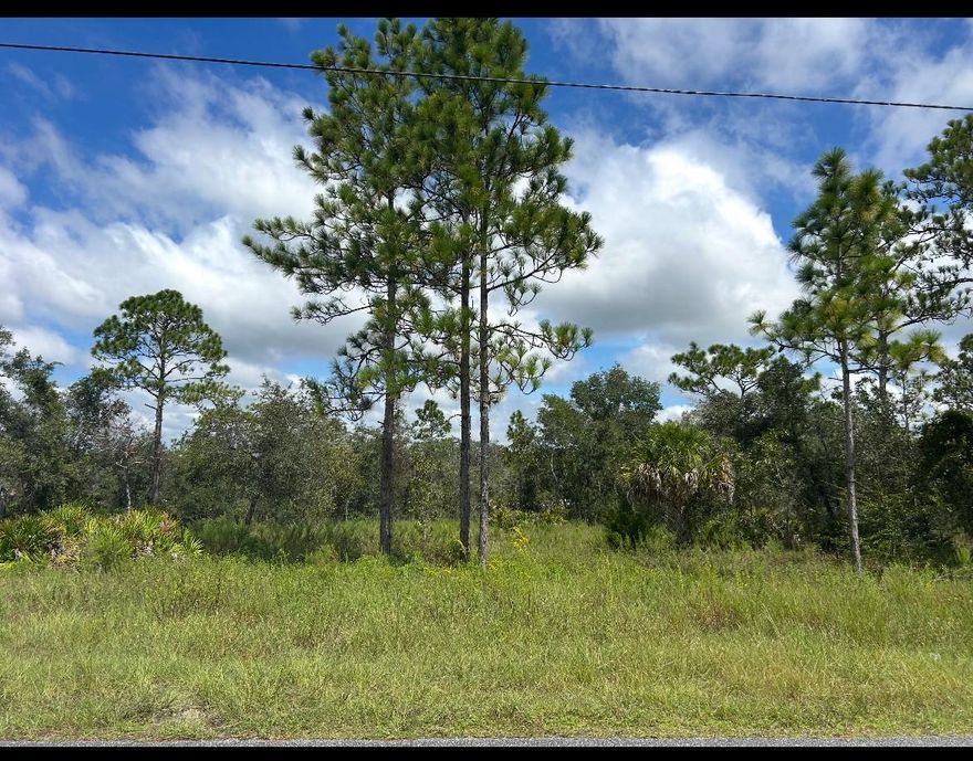 Build your dream home on this spacious 0.5-acre residential lot located on Papercraft Avenue in the desirable Weeki Wachee area of Hernando County. This property offers the perfect balance of privacy and convenience, with plenty of room for your vision—whether that’s a custom home, pool, or outdoor living space.  Quiet street with a peaceful setting No HOA restrictions. Easy access to utilities in the area. Minutes from Weeki Wachee Springs State Park, perfect for kayaking, boating, and outdoor recreation. Close to shopping, dining, schools and healthcare facilities. Convenient access to US-19 and the Suncoast Parkway for an easy commute to Tampa and surrounding areas. Just a short drive to Gulf Coast beaches, fishing, and boating This lot is an excellent opportunity for homeowners or investors looking to be part of a growing community while enjoying the natural beauty and laid-back lifestyle that Weeki Wachee is known for.
