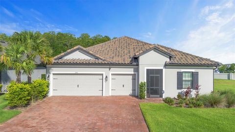 2991 AGOSTINO TERRACE KISSIMMEE FL 34746